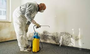 Best Mold Removal for HVAC Installations in Kings Bay Base, GA